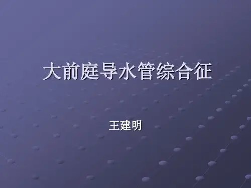 大前庭导水管综合征