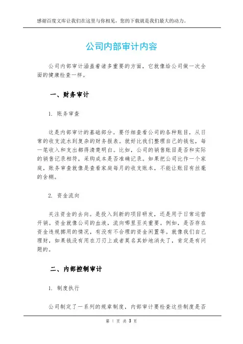 公司内部审计内容