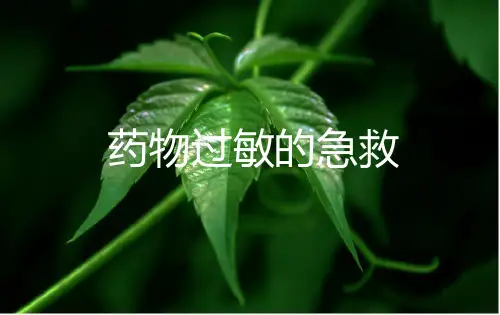药物过敏的急救PPT