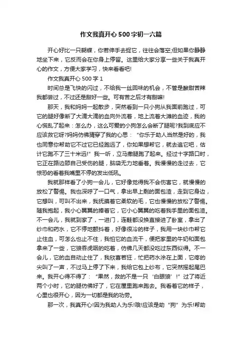 作文我真开心500字初一六篇