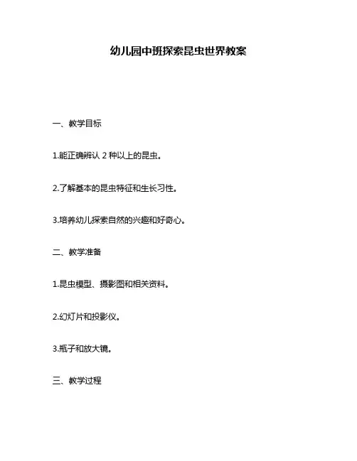 幼儿园中班探索昆虫世界教案
