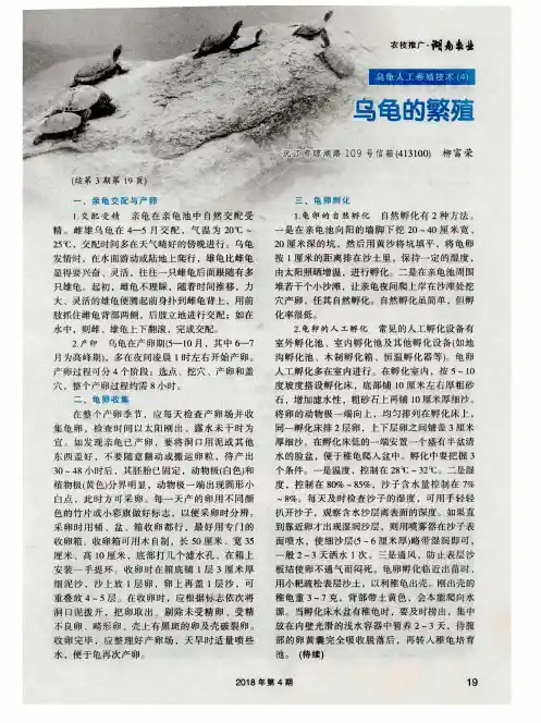 乌龟的繁殖