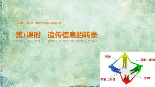 2019年高中生物人教版必修二课件：第4章 第1节 第1课时 遗传信息的转录