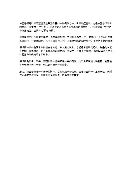 法国梧桐简介