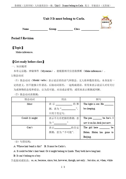 鲁教版(五四学制)九年级英语全一册：Unit 3  It must belong to Carla.