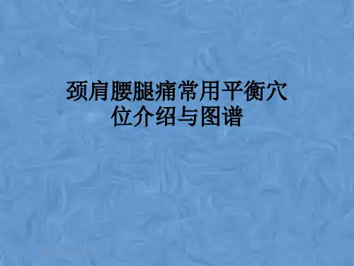 颈肩腰腿痛常用平衡穴位介绍与图谱