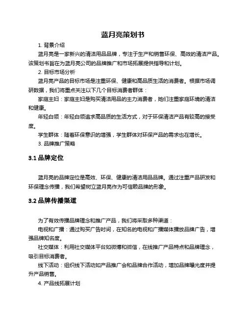 蓝月亮策划书