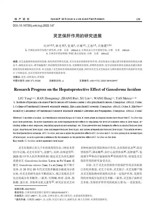 灵芝保肝作用的研究进展