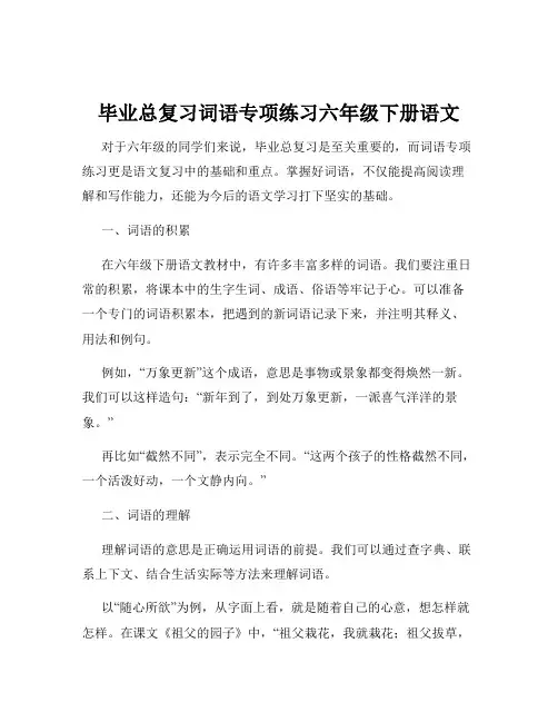 毕业总复习词语专项练习六年级下册语文