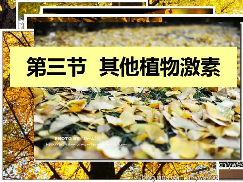 高中生物必修三 第三章第三节 其他植物激素