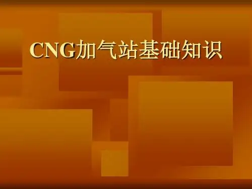 CNG加气站基础知识培训课件(PPT 56页)