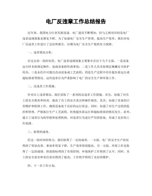 电厂反违章工作总结报告