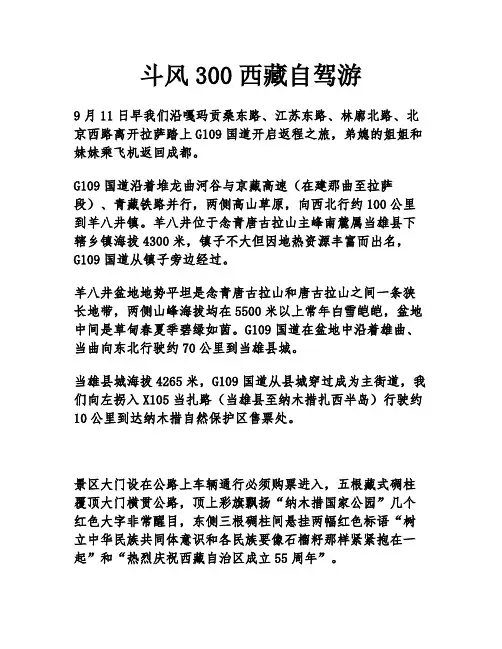 斗风300西藏自驾游
