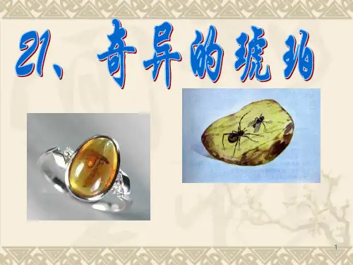 21《奇异的琥珀》PPT课件