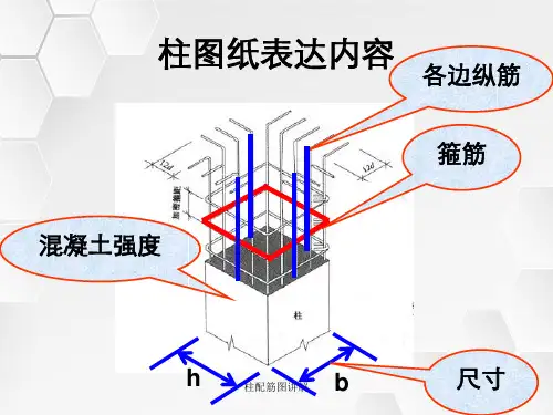 柱配筋图讲解