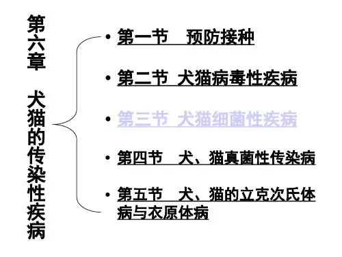 第六章 犬猫的传染性疾病-讲课