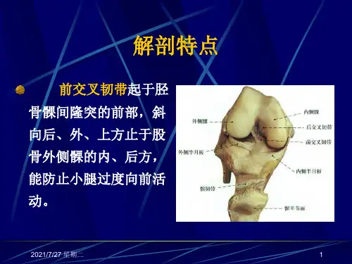 齐鲁医学膝关节交叉韧带损伤.pptx