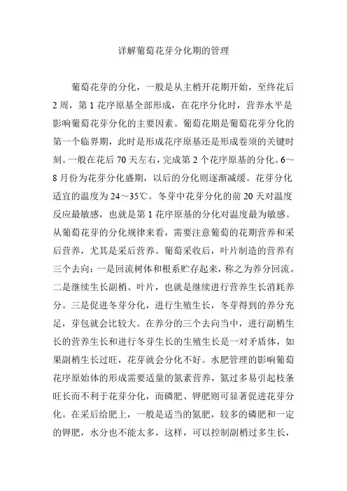 详解葡萄花芽分化期的管理