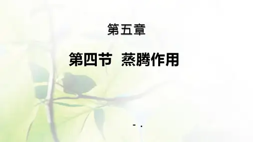 《蒸腾作用》PPT