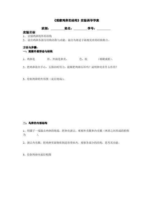 生物人教版八年级下册实验：观察鸡卵的结构导学案
