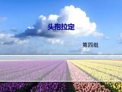 头孢拉定