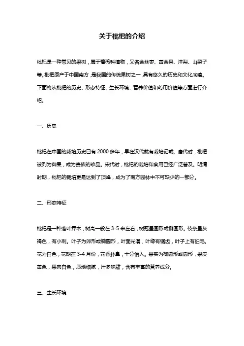关于枇杷的介绍
