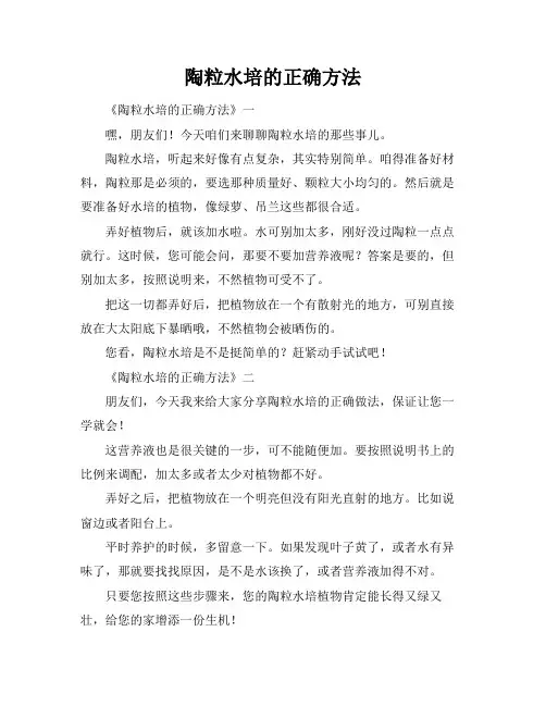 陶粒水培的正确方法
