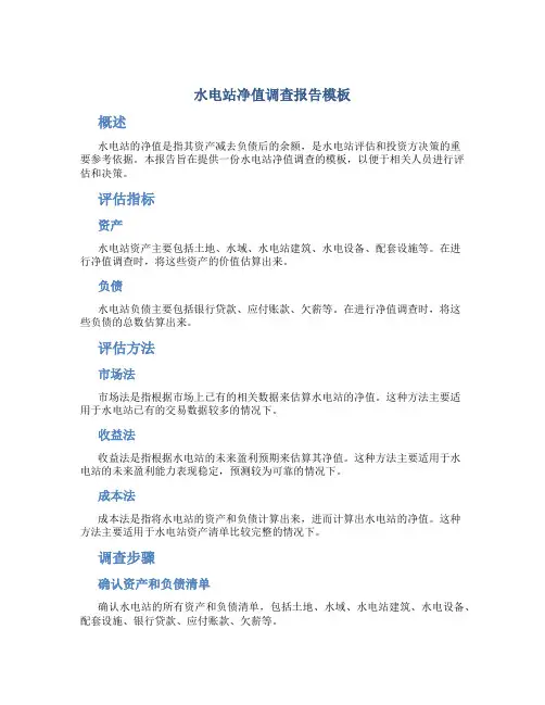 水电站净值调查报告模板