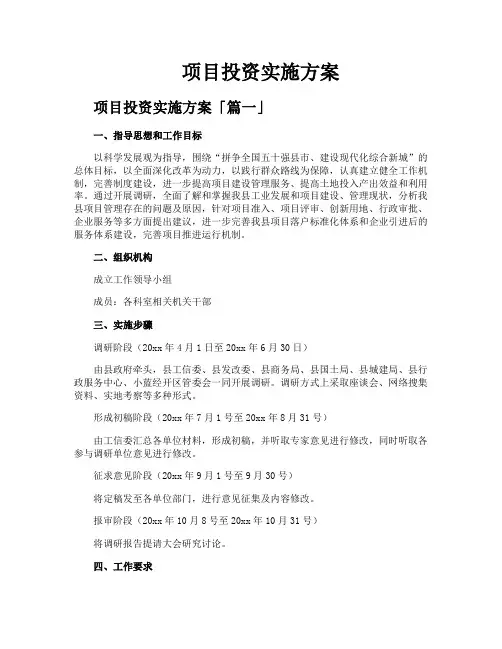 项目投资实施方案