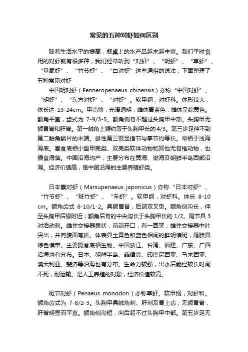常见的五种对虾如何区别