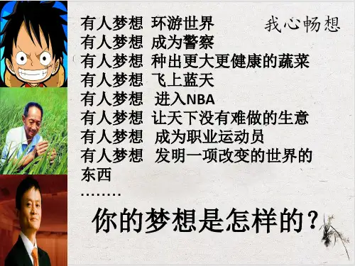 部编版道德与法治少年有梦精品课件