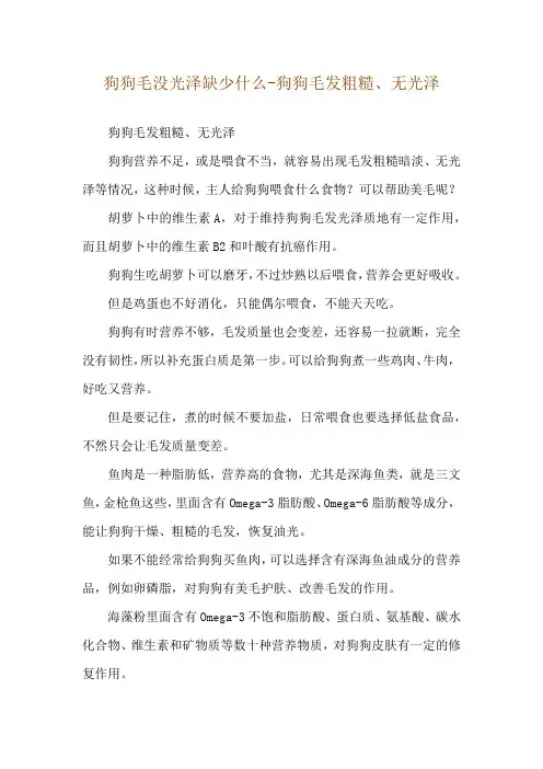 狗狗毛没光泽缺少什么-狗狗毛发粗糙、无光泽