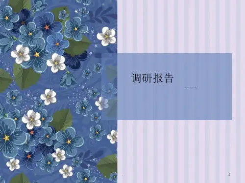 家具调研报告ppt课件