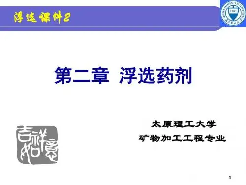 矿物加工工程-浮选药剂