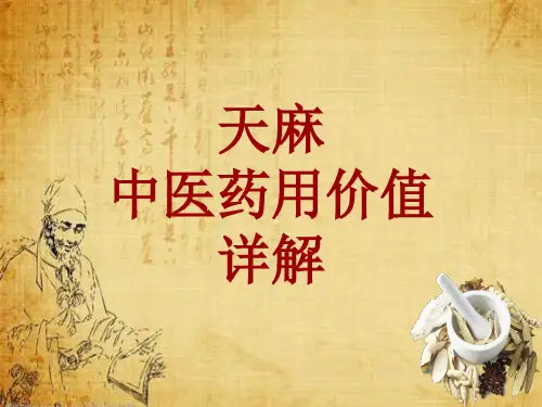 中药学_天麻_药材详解课件模板