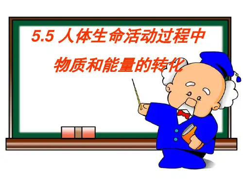 5.5人体生命活动过程中的物质和能量转化(27张PPT)
