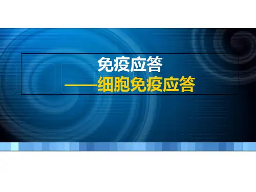 免疫学课件 第12章 T淋巴细胞介导的细胞免疫应答