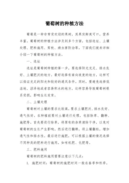 葡萄树种植方法