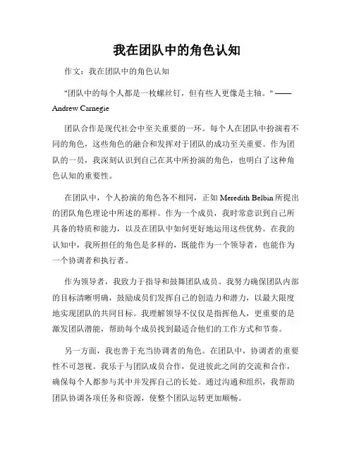 我在团队中的角色认知