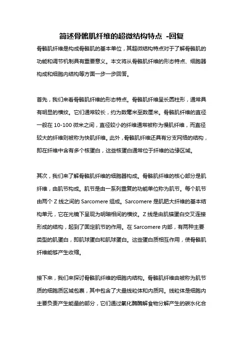 简述骨骼肌纤维的超微结构特点 -回复