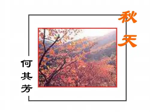 鲁教版-七年级语文秋天复习_6019