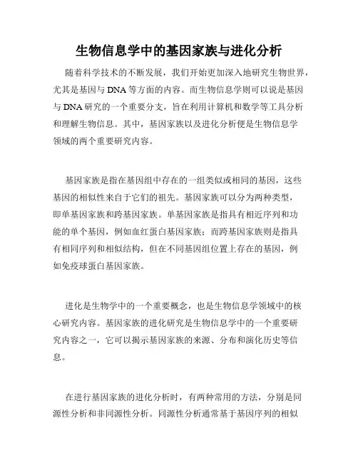 生物信息学中的基因家族与进化分析