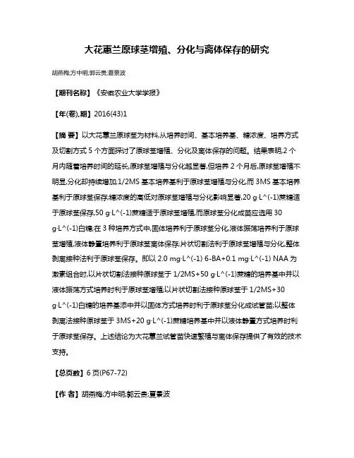 大花蕙兰原球茎增殖、分化与离体保存的研究