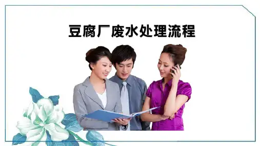 豆腐厂废水处理流程完整PPT