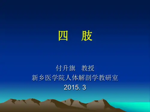 03 四肢(第2版)