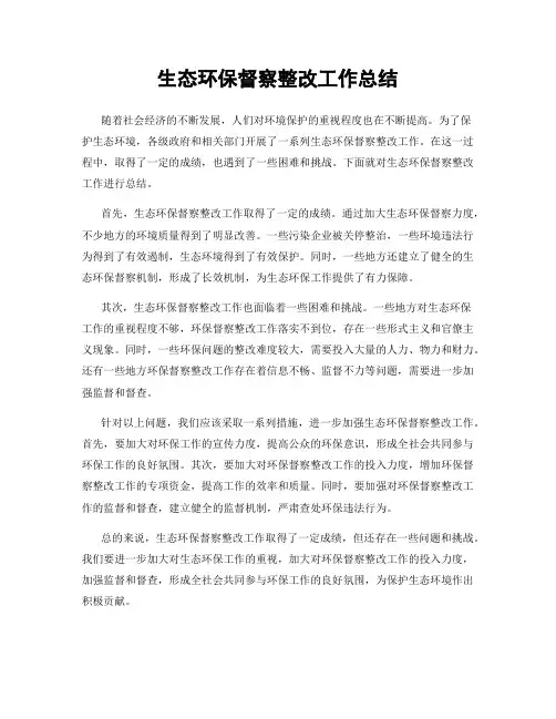 生态环保督察整改工作总结