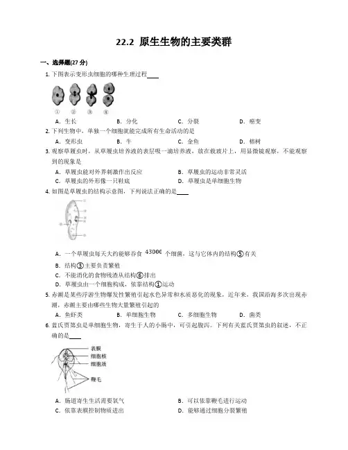 北师大版生物八年级下册原生生物的主要类群 同步练习