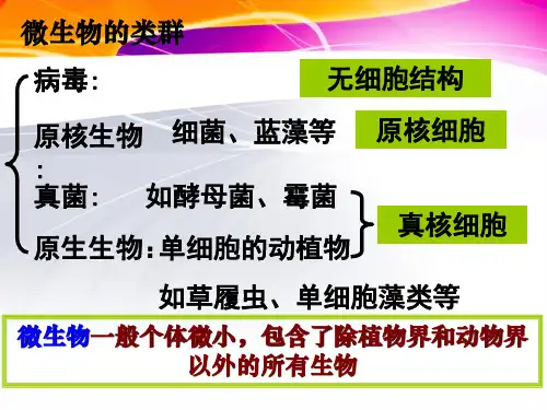 最新微生物的培养和应用课件PPT课件