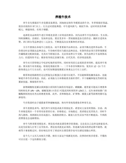 养殖牛技术