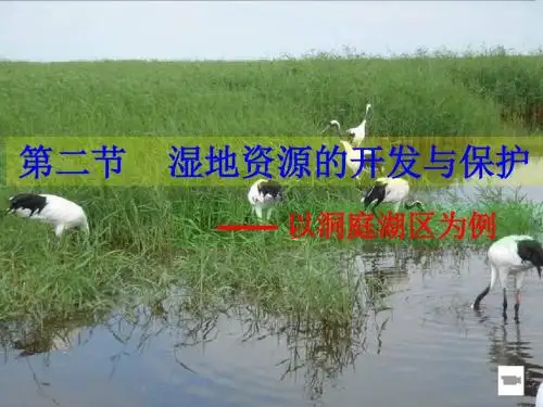 2·2湿地资源的开发和保护(共27张PPT)